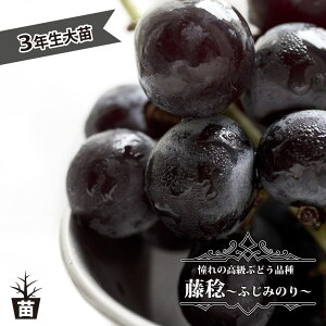 yz Ԃǂ 3Nږ1.1mc EBXt[ yYnř 1.1mcz y\̔z10`11ח\