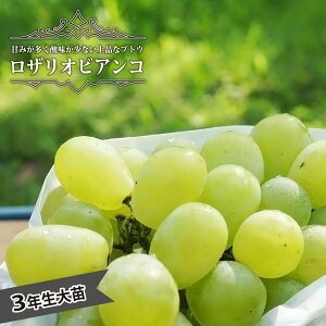 yUIrARz Ԃǂ 3Nږ1.1mc EBXt[ yYnř 1.1mcz