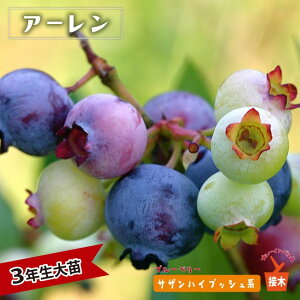 yA[z TUnCubVn 3Nږؑc u[x[c u[CpX