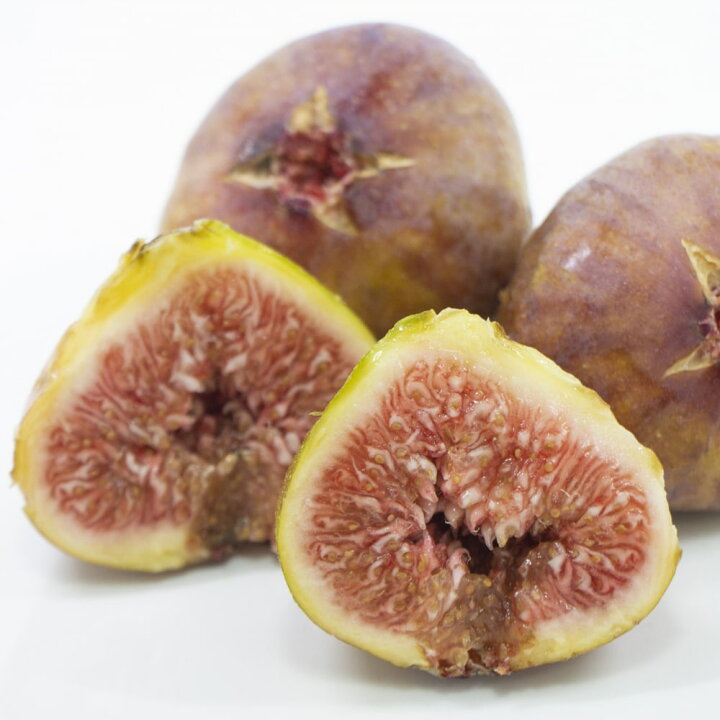 楽天市場 早生日本種 蓬莱柿 いちじく 2年生苗鉢植え スリット 限定販売 苗木部 ｂｙ 花ひろばオンライン