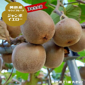 LEC c yW{CG[z FnX 3N1mc ږ؁yYnř 1.0mcz