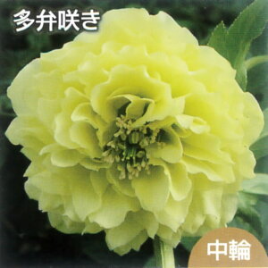 y[v}hXz NX}X[Y 3|bgc