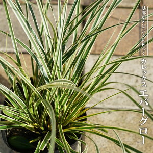 yGo[O[zJbNX 5|bgc o^iEio^