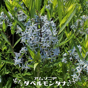 A\jA ^xiG^i iqj 3|bgc y\̔z4`5ח\