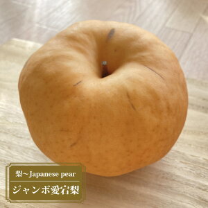  c yW{z 2Nږؕc XbgA ̔