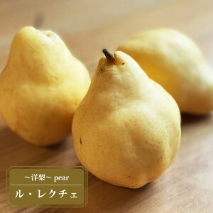 m c yN`Fz 2Nږؕc XbgA ̔