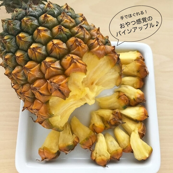 楽天市場 在庫処分値下げ中 パインアップル スナックパイン ポット苗 沖縄県産 パイナップル 苗木部 ｂｙ 花ひろばオンライン