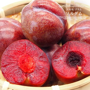  c y\_z 2Nږ؃XbgA ̔ y\̔z10`11ח\