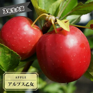 P c yAvXz 3Nږ1mc yYnř 1.0mcz y\̔z10`11ח\