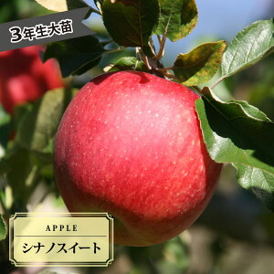 񂲕c yVimXC[gz 3Nږؑc yYnř 1.0mcz