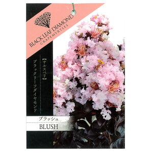 TXx yubN[t_Ch ubVz |bgc o^o蒆i