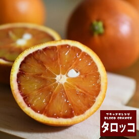 ブラッドオレンジ 苗木 【タロッコ】 1年生接木苗