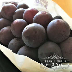 yO[XN[lz Ԃǂ 3Nږ1.5mڑc EBXt[ o^iEio^ y^zցz 卫
