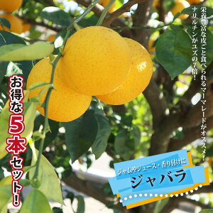 y5{Zbgz_݂ y΂z 1Nږؕc