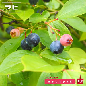 yqz rbgACnu[x[c 2N}ؕc o^iEio^