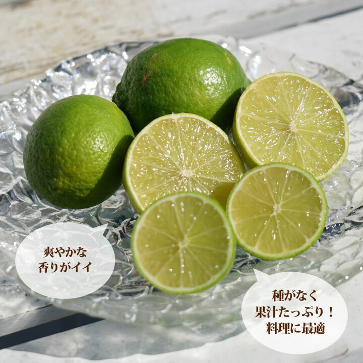 楽天市場】ライム 苗木 【フレーバーグリーン】 種なしライム 3年生 