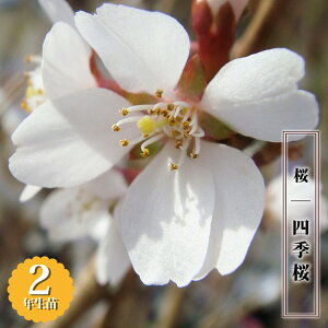 G炫  ylGz 2N ږؕc 6O|bg