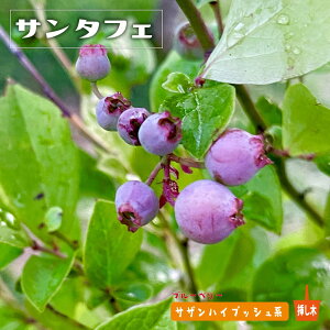 yT^tFzTUnCubVnu[x[c 3Nc } 7OXbgA