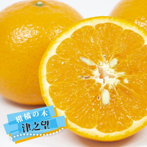 ݂ c yÔV]z 3Nږؑc yYnř 1.1mcz o^iEio^