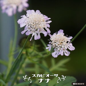 XJrITi}cV\Ej yiiz 3|bgc y\̔z4`5ח\