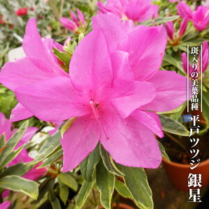 ˃ccW y␯z 3.5|bgc } yniqo[z