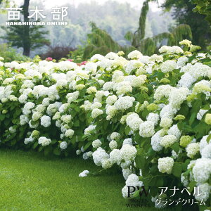 Aix yOfN[ (CNfB{[AW{Aixj z  iPW) 3.5|bgc xr[c o^iEio^