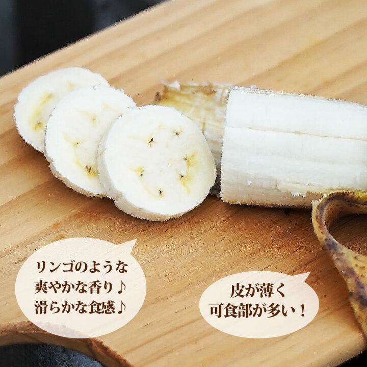 楽天市場】バナナの木 【アップルバナナ】 カット特大苗 石垣島から 