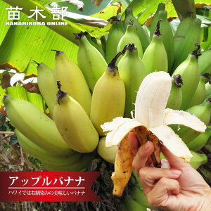 oii̖ yAbvoiiz Jbgc Ί_璼 sEwsEbsOÊΉs