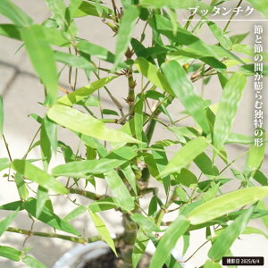 ub^`N 5.5A