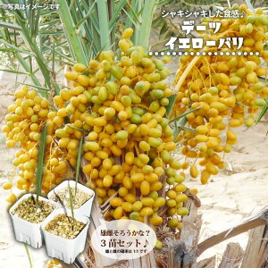 f[c yCG[oz  |bgc 3cZbg