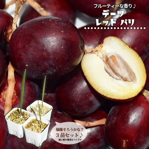 f[c ybhoz  |bgc 3cZbg