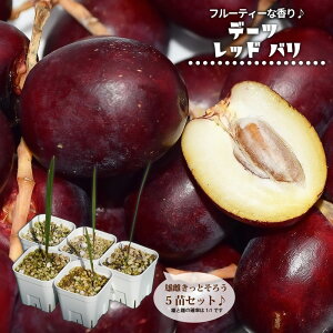 f[c ybhoz  |bgc 5cZbg