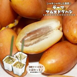 f[c yAGh_nz  |bgc 3cZbg