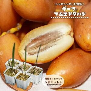 f[c yAGh_nz  |bgc 5cZbg