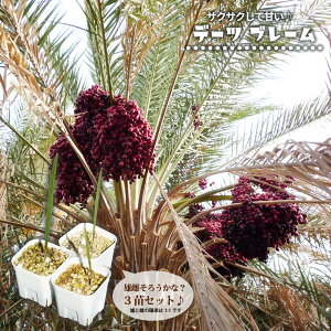 f[c yu[z  |bgc 3cZbg