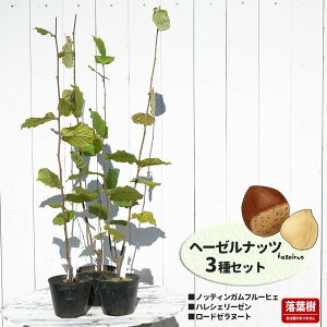 w[[ibc3ZbgimbeBKt[qFEnVF[[E[h[k[gj 1Nc