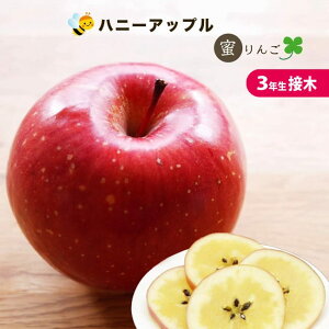 񂲂̕c ynj[Abvz 3N ږ c 8|bg