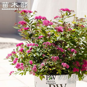 VcP y_uvC sNz 3.5|bgciPW) i_iɂB͂Tj