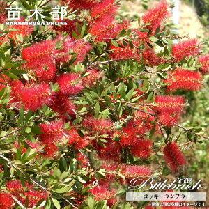 ybL[u[z uVmL iJXeEL|EWj 5|bgc