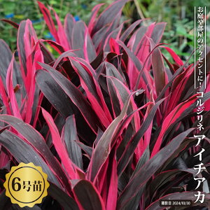 RWlihZij I[XgX AC`AJ 6 A