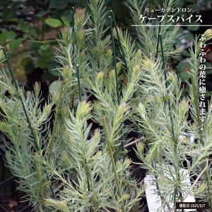 [Jfh yP[vXpCXz 4|bgc