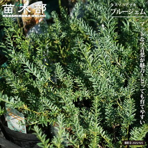 ^X}jA}L yu[WFz 4|bgc