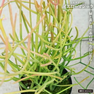 ~NubVi~hTSj yCG[}WbNz 5A