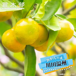 ݂ c ycBz B݂ 1Nږؕc