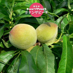  c ␫c y{iUs[`z 2Nږؕc 7XbgA o^iEio^