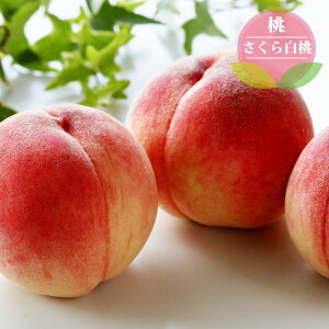  c y甒z 1Nږؕc Pi or 󕲎Zbg y\̔z11`12ח\