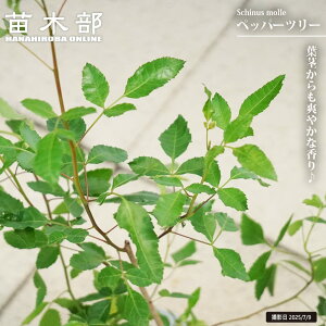 ybp[c[ isNybp[j4 |bgc