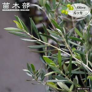 I[u̖ ybJz 3N } 6|bgc