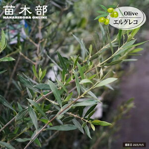 I[u̖ yGORz 3N } 6|bgc