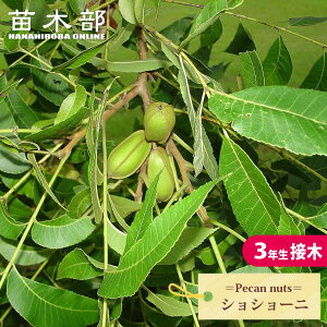 yJibc yVV[jz 3Nږ 8|bgc